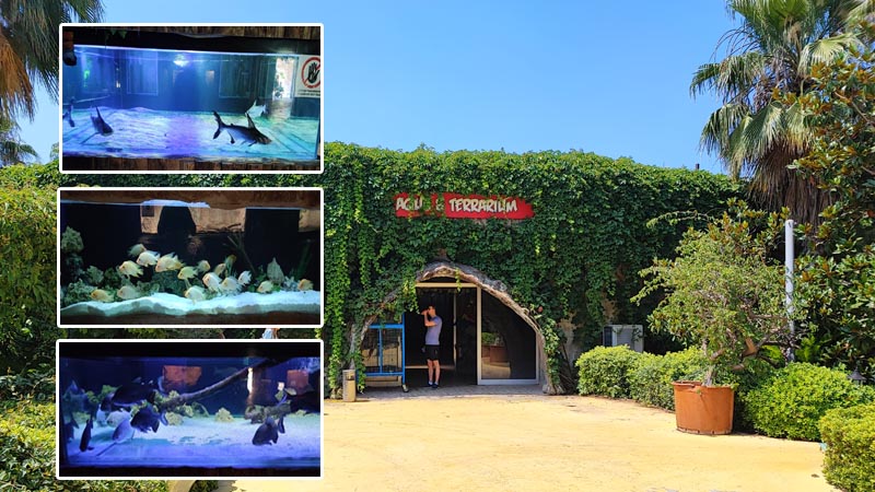 aquarium land of lions