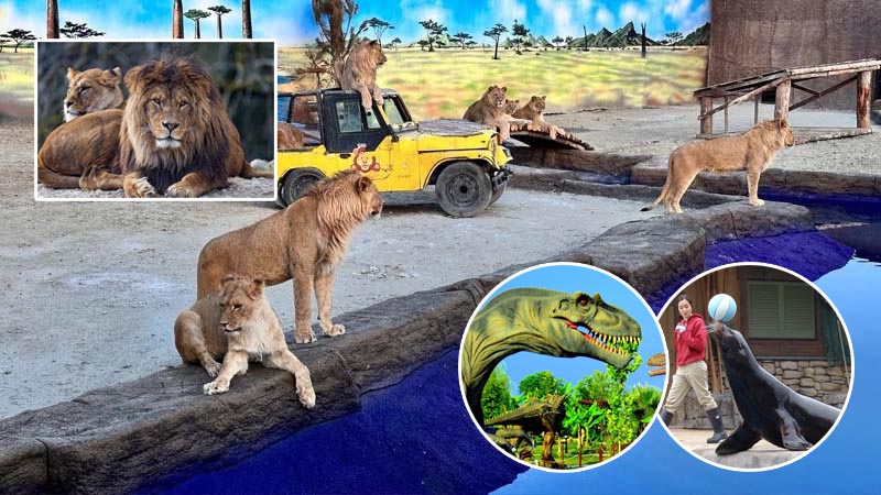 land of lions antalya