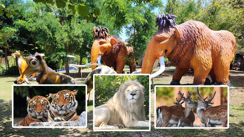 lion theme park
