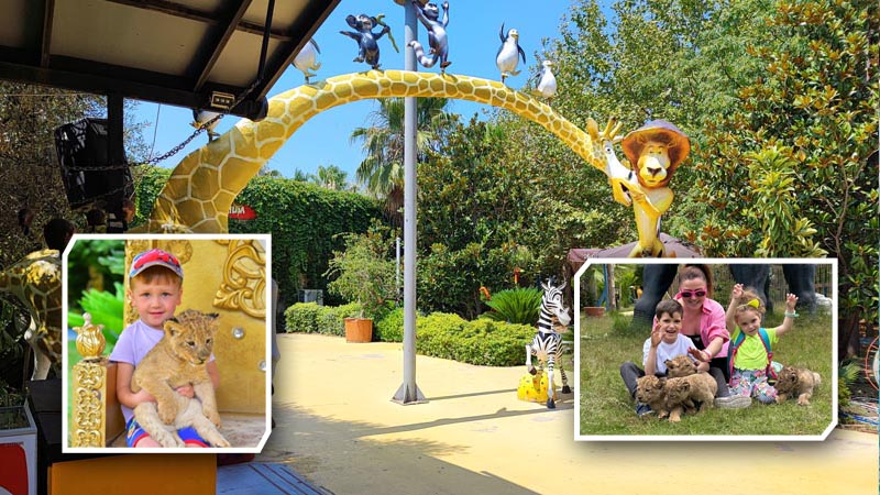 photo with lion cubs