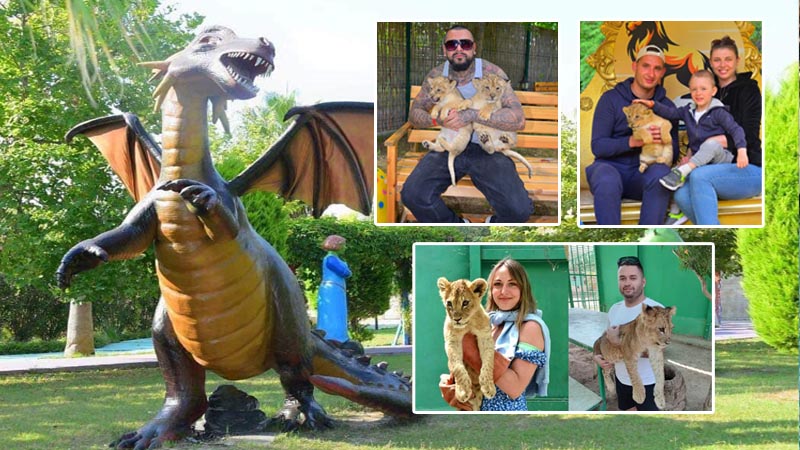 photo with lions in antalya