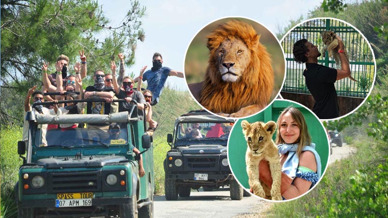 jeep safari lion park tour
