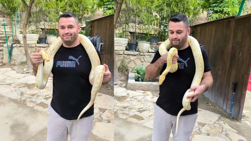 photo-with-snake-in-alanya side