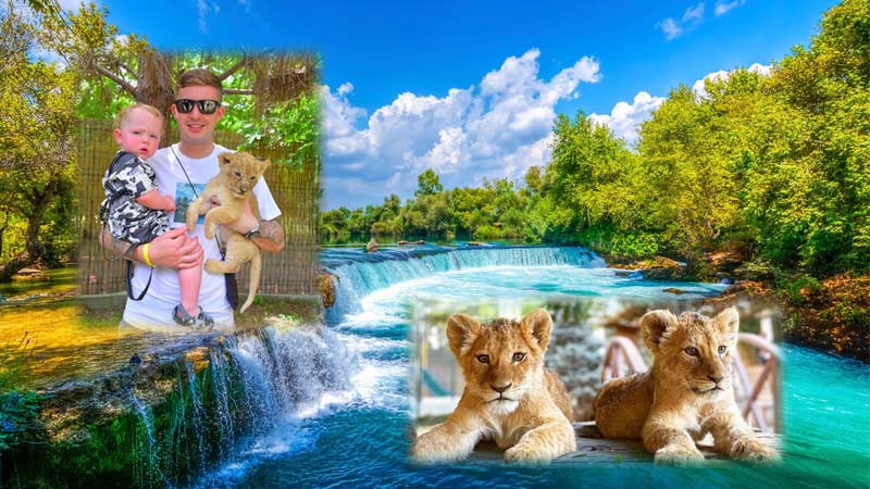 take a photo with lions in antalya, manavgat, alanya, belek