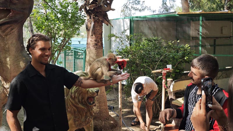 alanya zoo photo monkey