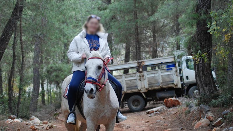 alanya horse safari advice