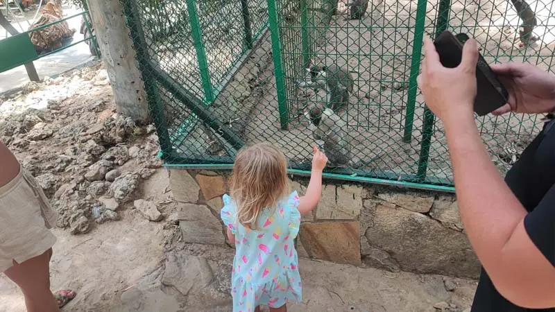 feed monkeys kemer