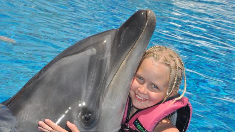 swimming with dolphins prices kundu