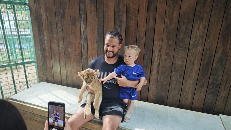 alanya baby-lions