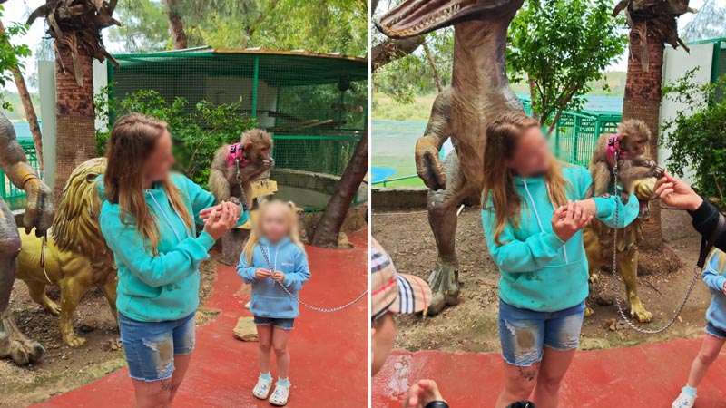 family friendly acitivities in antalya