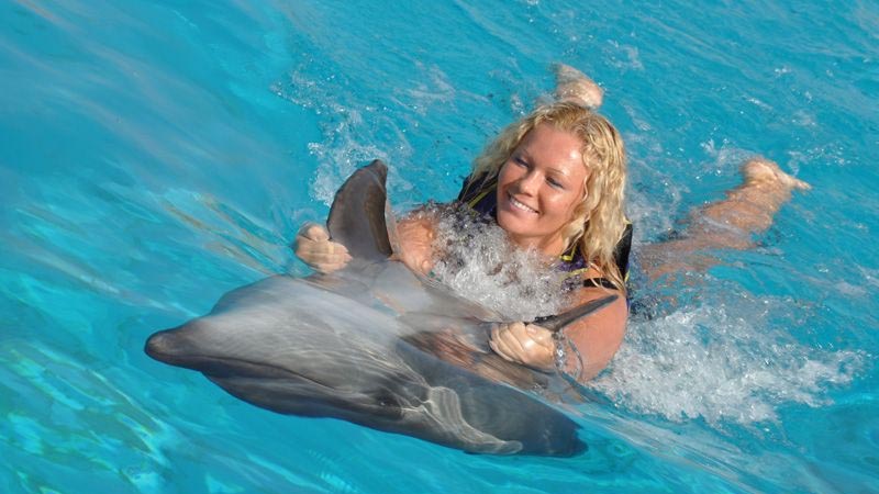 side dolphin swimming
