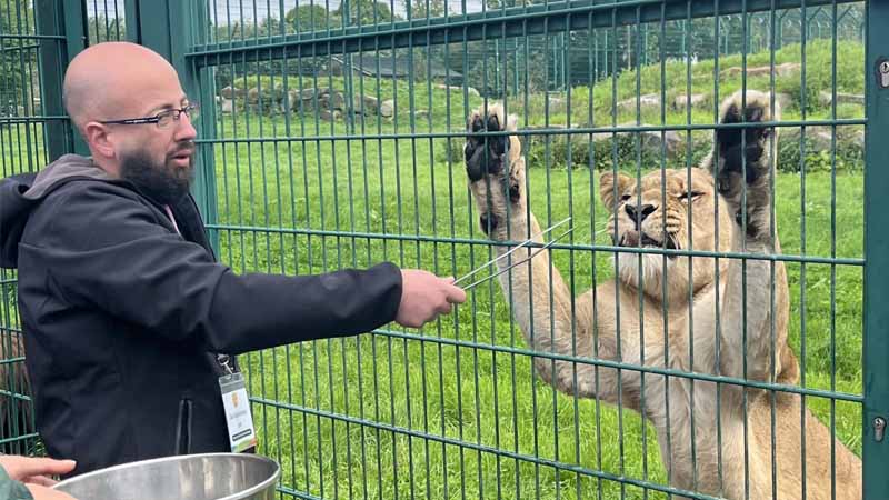 lion tour kundu