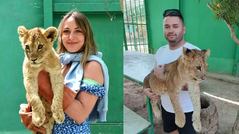 photo with lions in turkey